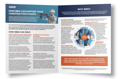 BBSI Brochure Construction mockup
