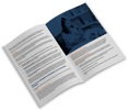 Brokers Guide to Virtual Selling Mockup