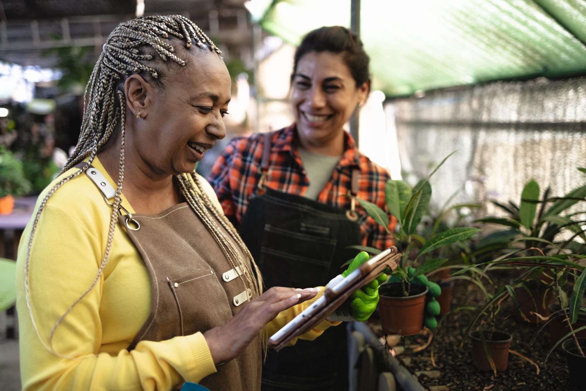How to Maintain Profitability as a Seasonal Business