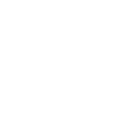 Technology Solutions 
