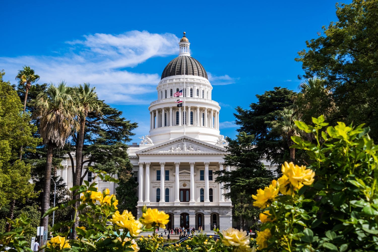 A Comprehensive Guide For Demystifying California's Payroll Laws